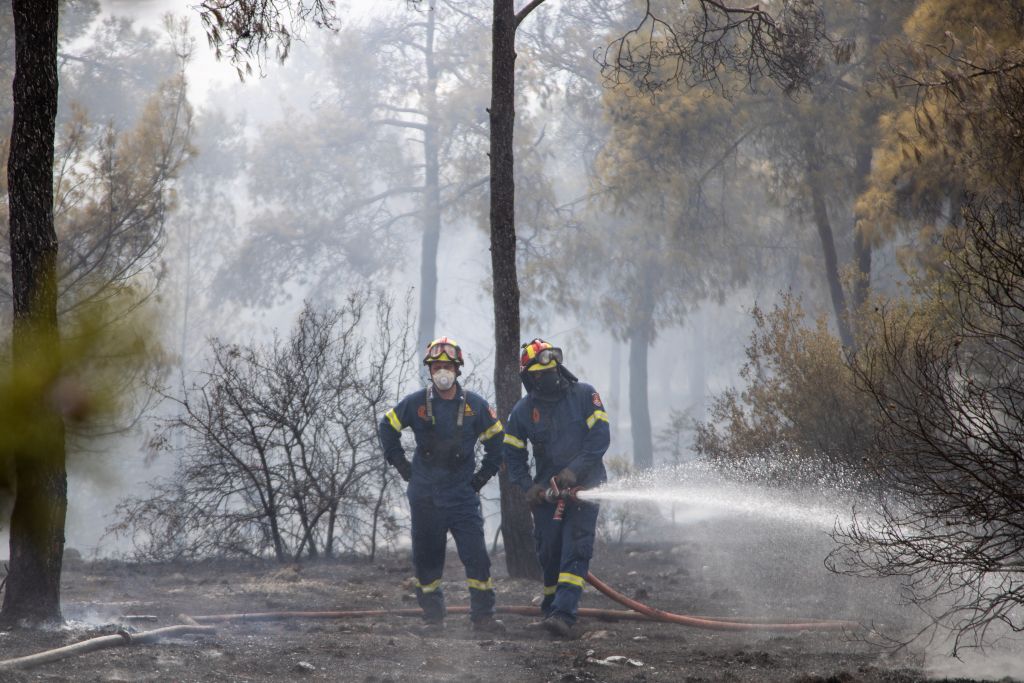 Θεσσαλονίκη: Προσήχθη ύποπτος για εμπρησμό στο δάσος του Σέιχ Σου (Video)