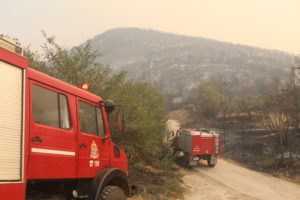 Σουφλί: Οριοθετήθηκε η φωτιά στην Κορνοφωλιά