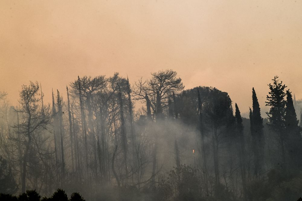 Φωτιές στην Ηλεία: «Στάχτη πάνω από 39.000 στρέμματα – Ζητούσαμε βοήθεια από τις 15:30 και αεροσκάφη ήρθαν στις 20:00»