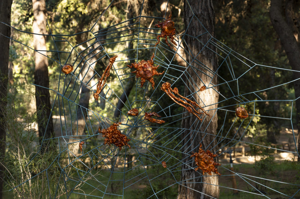 «Shinrin-yoku-Forest bathing»: Μια έκθεση για την θεραπευτική επίδραση της τέχνης σε σχέση με την φύση