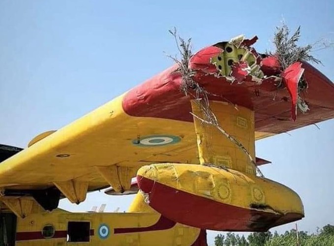 Ανατριχίλα προκαλεί η κατάσταση του Canadair που «ξύρισε» δέντρο στην κατάσβεση της πυρκαγιάς στη Ναυπακτία (Photo – Video)