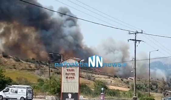 Φωτιά στη Ναυπακτία στην περιοχή Πλατανίτης – Εκκενώθηκαν τρεις περιοχές (Videos)