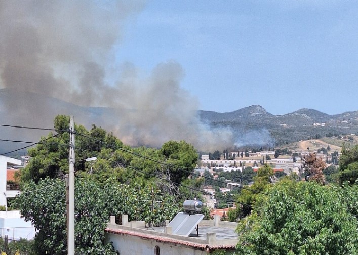 Μεγάλη φωτιά στις Αφίδνες: Ενισχύονται οι δυνάμεις – Ποιοι δρόμοι έκλεισαν (Video)