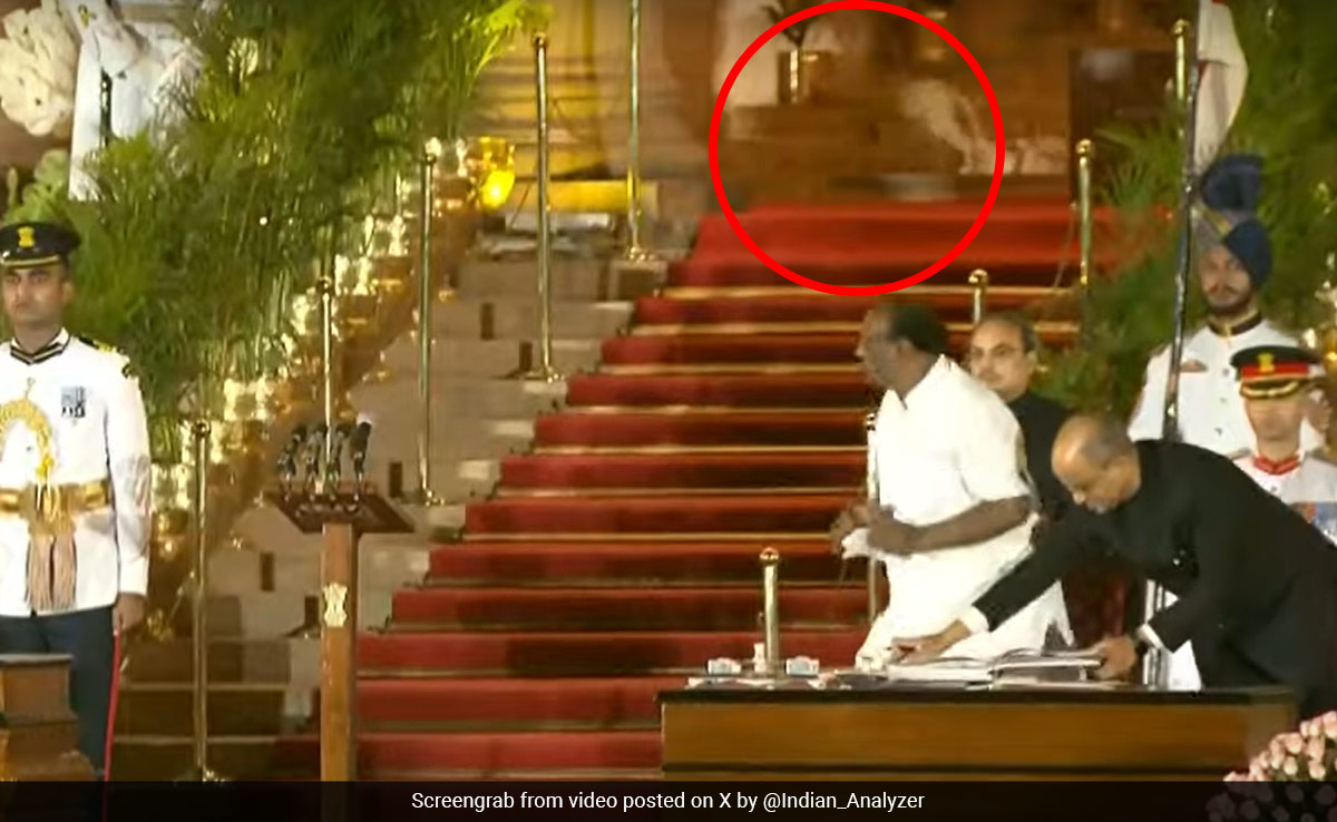 India: A leopard within the presidential palace was lastly… a cat (Video)
 – 2024-06-11 15:56:18