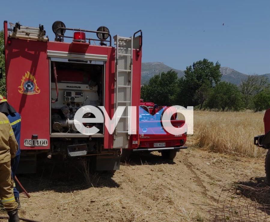 Εύβοια: Φωτιά από πτώση σκαπτικού μηχανήματος σε γκρεμό – Ένας τραυματίας
