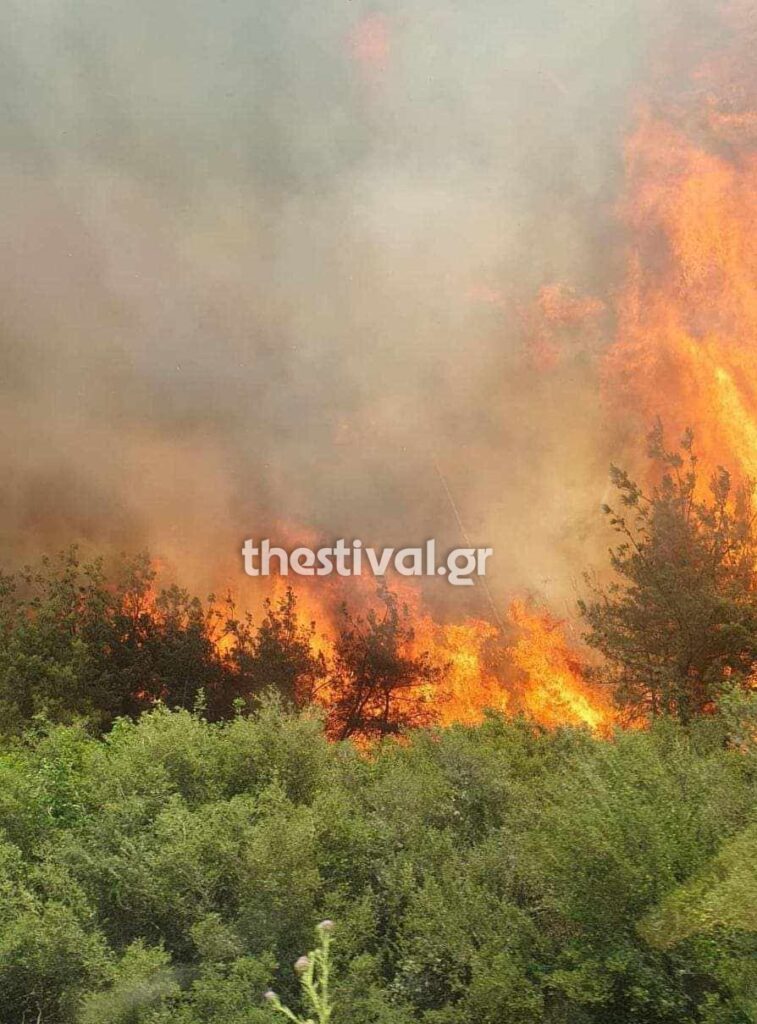 Δασική πυρκαγιά στον οικισμό της Λίμνης Βόλβης – Μήνυμα από το 112 (Photos)