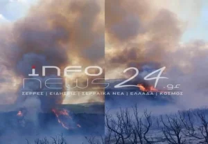 Σέρρες: Μεγάλη φωτιά στη Νιγρίτα &#8211; Επιχειρούν και εναέρια μέσα (Photos &#8211; Video)