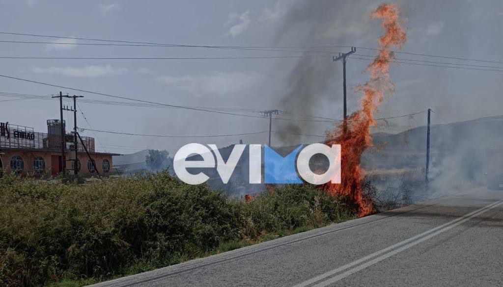 Φωτιά τώρα στα Λέπουρα Ευβοίας