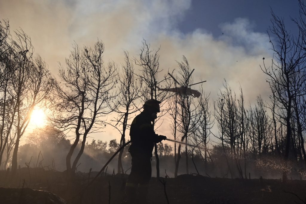 Λάρισα: Πυρκαγιά σε δασική έκταση στην Αμυγδαλιά