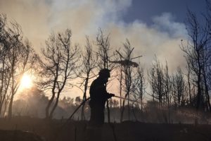 Λάρισα: Πυρκαγιά σε δασική έκταση στην Αμυγδαλιά