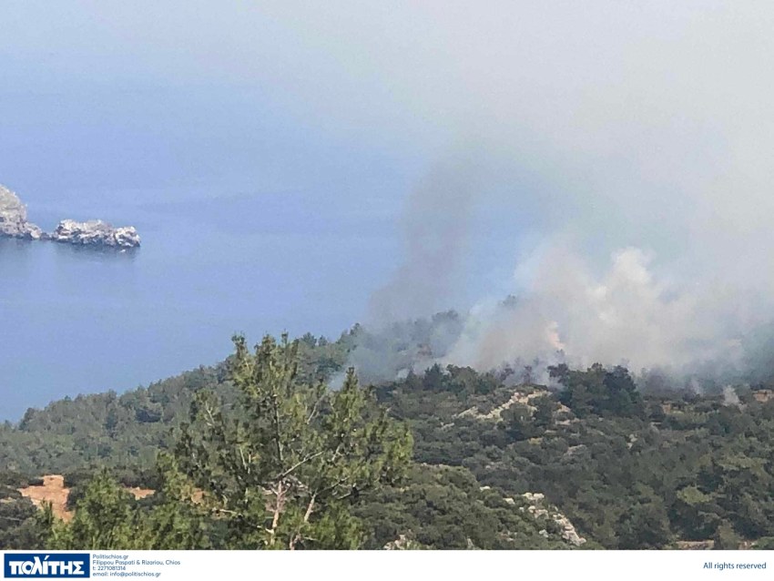 Φωτιά στη Χίο – Επιχειρούν και 3 αεροσκάφη (Photos)