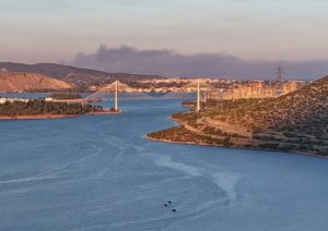 Φωτιά στην Εύβοια: Ορατός από τη Χαλκίδα ο καπνός από τις Πετριές (Photo)