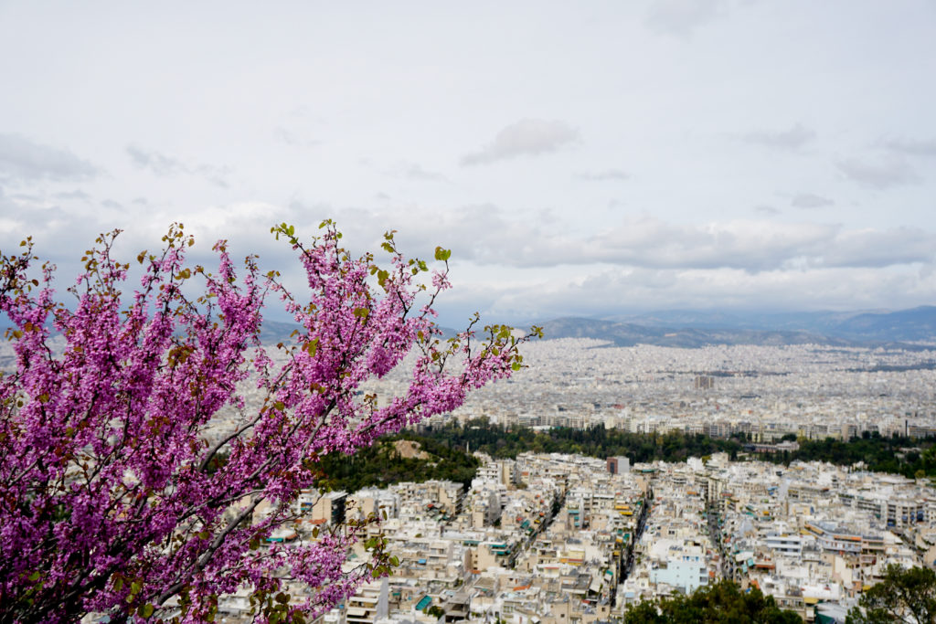 Οικόπεδα: Σε ανοδική τροχιά στην Αττική – Πού κυμαίνεται το κόστος κατασκευής κατοικιών ανά τ.μ.