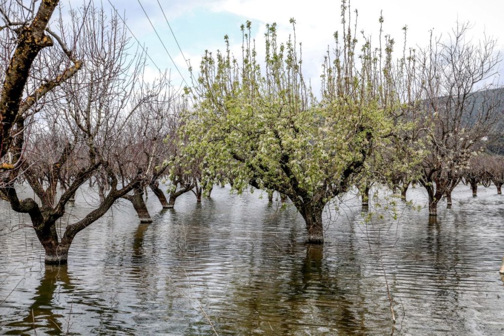 Β.Κόκκαλης: Να δοθεί παράταση στους πλημμυροπαθείς αγρότες που οφείλουν στον ΕΛΓΑ