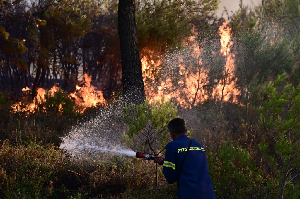 Φωτιά τώρα στον Διόνυσο – Κοντά στο γερμανικό νεκροταφείο