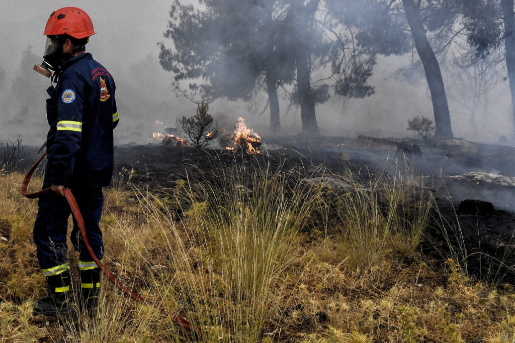 Φωτιά τώρα σε δασική έκταση στην Κοζάνη