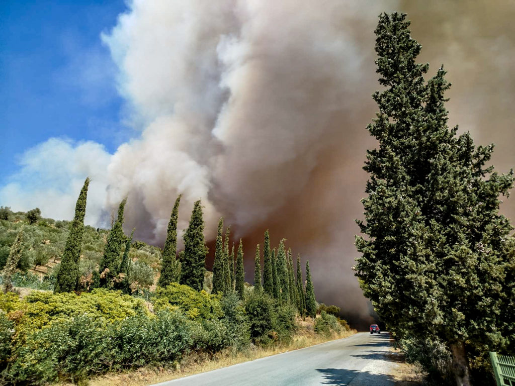 Πύρινος εφιάλτης στην Εύβοια: Δύο τα μέτωπα, μπαράζ από το 112 – Τραυματίστηκε πυροσβέστης (Videos)