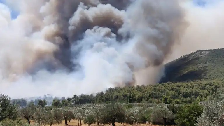 Μάχη με τις φλόγες και τους ανέμους στο Σοφικό Κορινθίας: Πύρινος εφιάλτης κατακαίει το πευκόδασος (Videos – Photos)