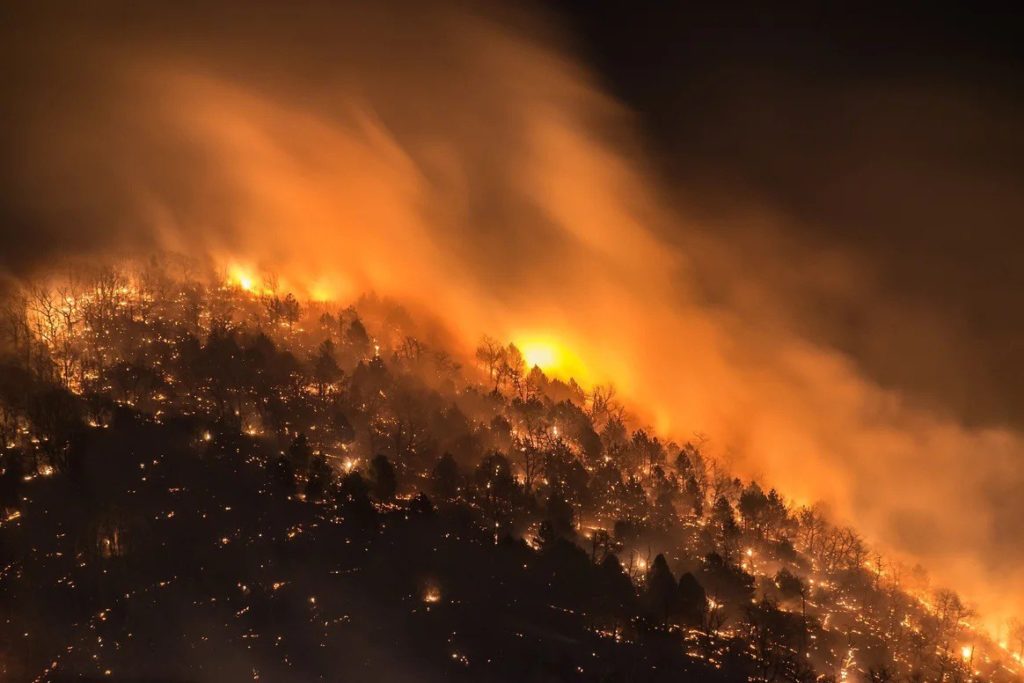 Ρωσία: Πάνω από 10 εκατ. στρέμματα δασικών εκτάσεων στις φλόγες