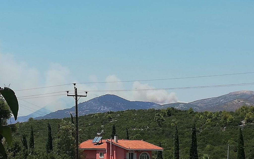 Φωτιά σε δασική έκταση στις Ερυθρές Αττικής – Εκκενώνεται κατασκήνωση (Photos)