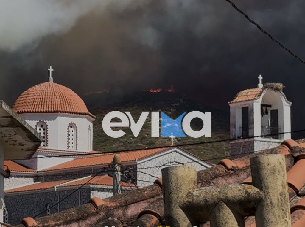 Μεγάλη φωτιά στα Κριεζά Ευβοίας: Εκκενώνονται χωριά – Κοντά σε σπίτια οι φλόγες (Videos)