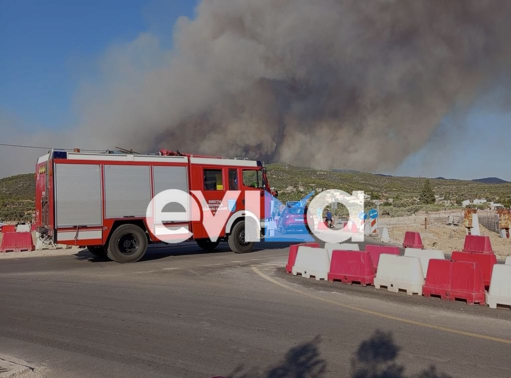 Φωτιά στην Εύβοια: Στη μάχη με τις φλόγες οι Ρουμάνοι πυροσβέστες (Video)