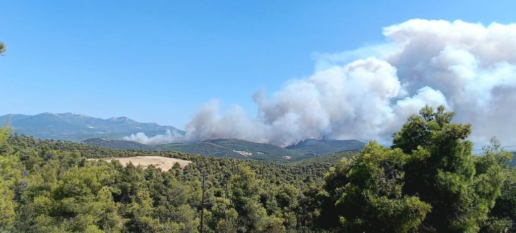 Νέα μεγάλη φωτιά στην Εύβοια: Καίει δασική έκταση στον Πισσώνα – Μήνυμα από το 112 (Photos – Video)