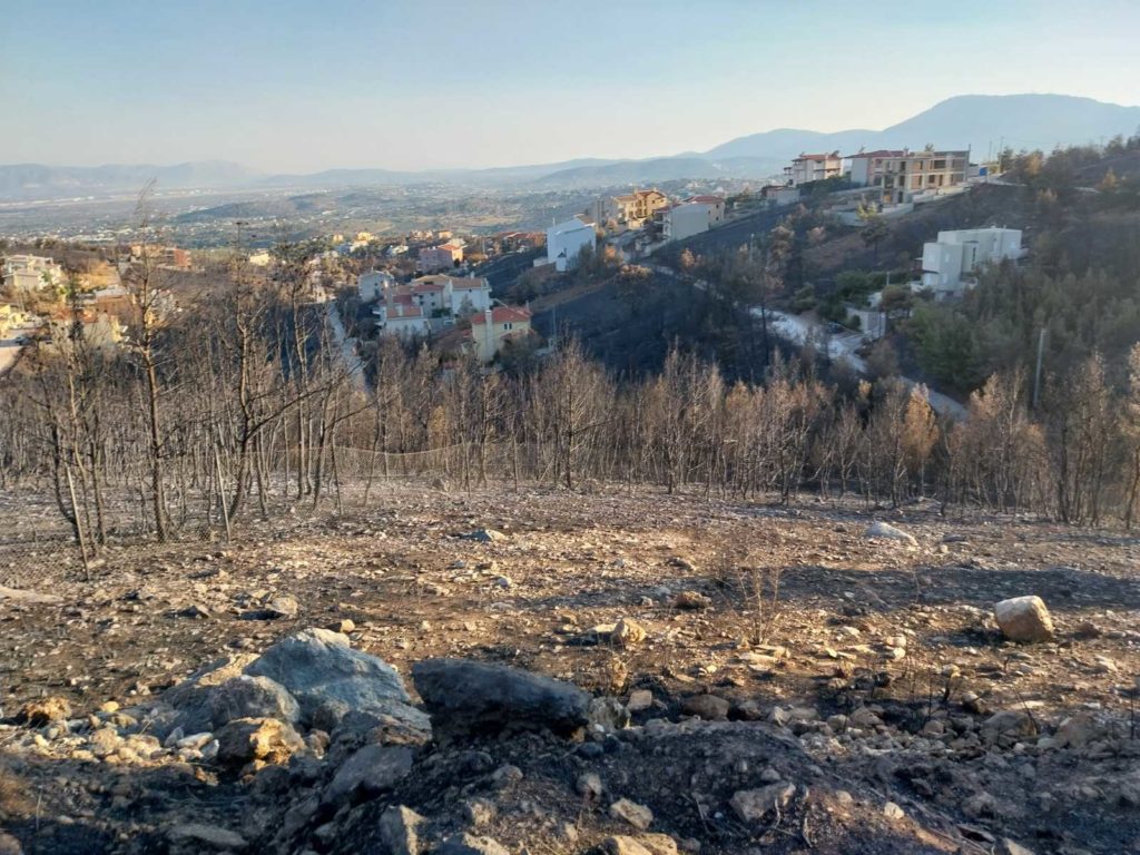 Αντιστράτηγος ε.α. για τη φωτιά στην Αττική: «Όποιοι μιλάνε για δεκάδες αεροπλάνα, μάλλον έβλεπαν την Ναυμαχία του Μίντγουει»