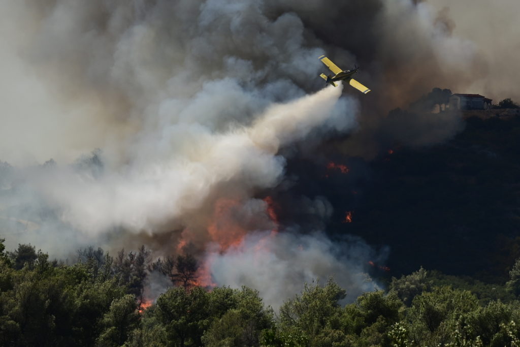 Φωτιά τώρα στη Λακωνία – Καίει δασική έκταση