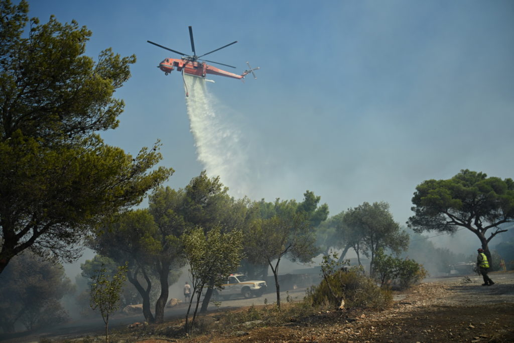 Κουνουπίτσα Τροιζηνίας: Πυρκαγιά σε δασική έκταση