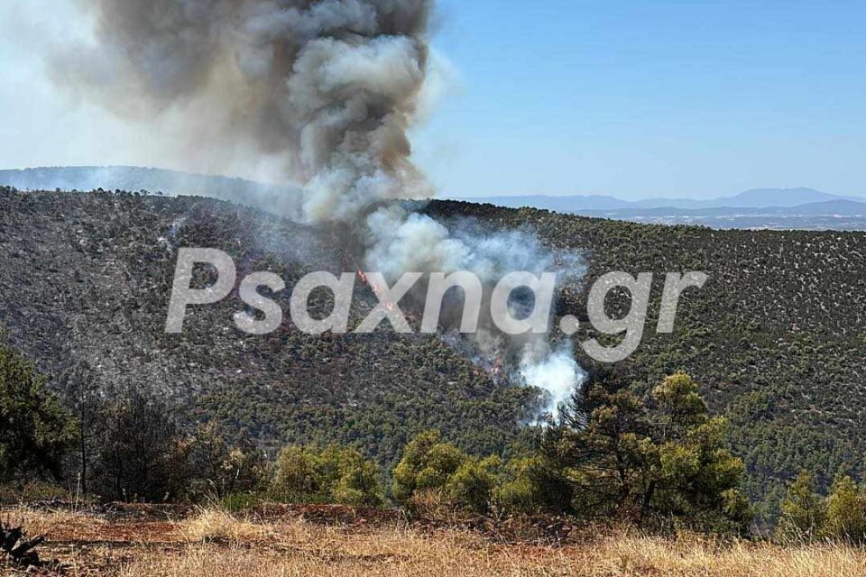 Φωτιά στην Εύβοια: Μεγάλη αναζωπύρωση πάνω από το χωριό Αφράτι (Photos – Video)