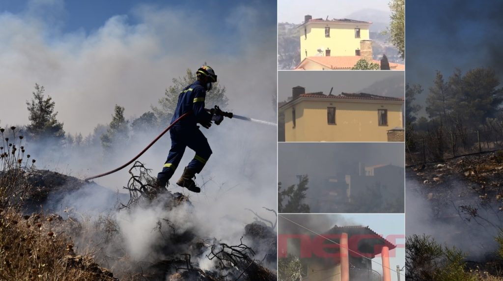 Εκτός ελέγχου η φωτιά στην Αττική: Σε Νέα Μάκρη και Γραμματικό τα μεγάλα μέτωπα – Κάηκαν σπίτια σε Νταού Πεντέλης και Διώνη (Photos-Video)