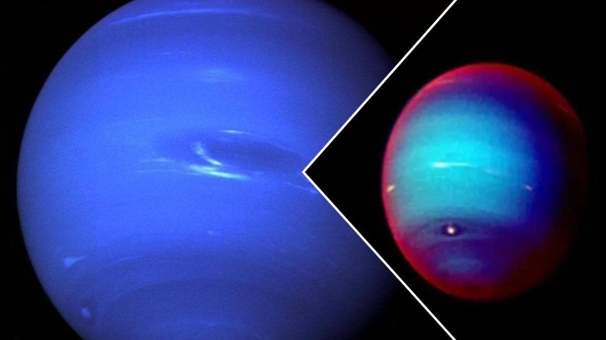 NASA: Closest Photograph of Neptune as Taken by Voyager 2 – This Is Its True Color
 – 2024-08-26 11:11:57