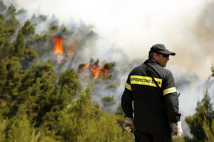 Θεσπρωτία: Φωτιά σε δασική έκταση του Δήμου Σουλίου