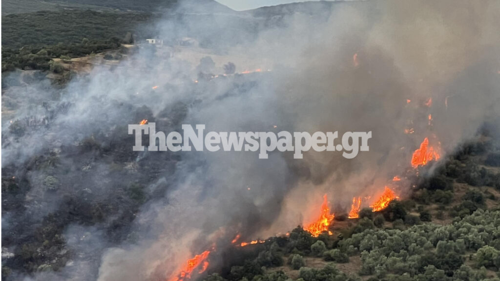 Βόλος: Φωτιά στο Φυτόκο στους πρόποδες του Πηλίου