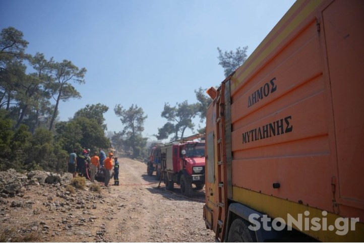 Φωτιά μεταξύ Πηγής και Θερμής στη Λέσβο