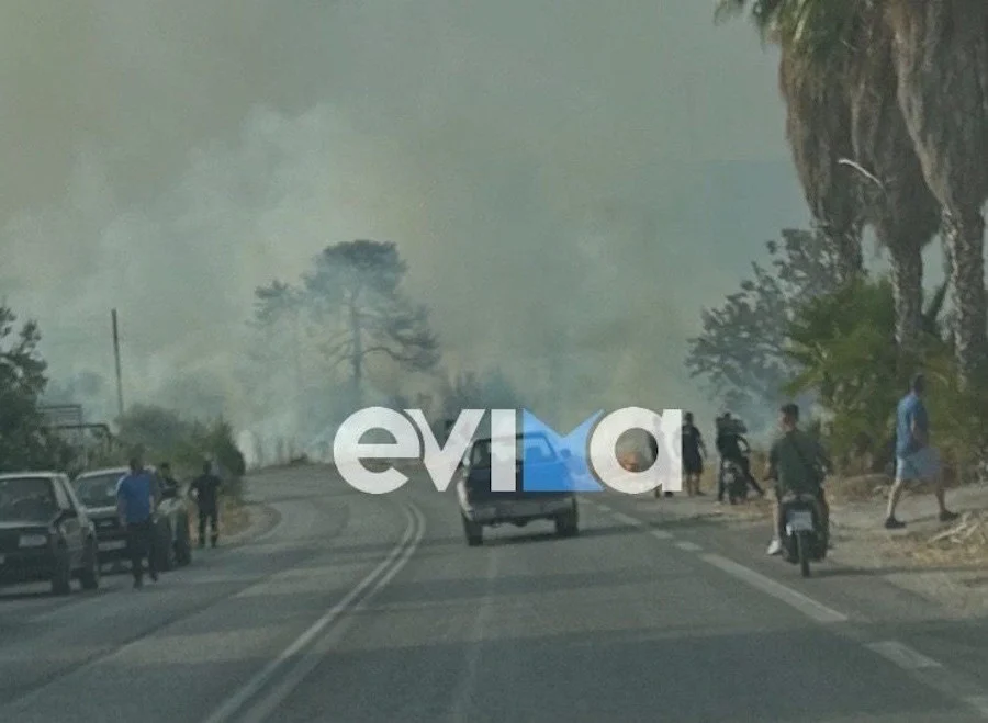 Εύβοια: Φωτιά τώρα στην Ερέτρια