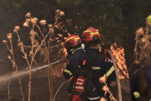 Ήρθε από την Αλβανία να συνδράμει στις φωτιές αλλά στο τέλος του ζήτησαν 20 ευρώ για νοσηλεία