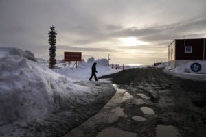 Κλιματική αλλαγή: Η Ανταρκτική&#8230; πρασινίζει με γρήγορους ρυθμούς