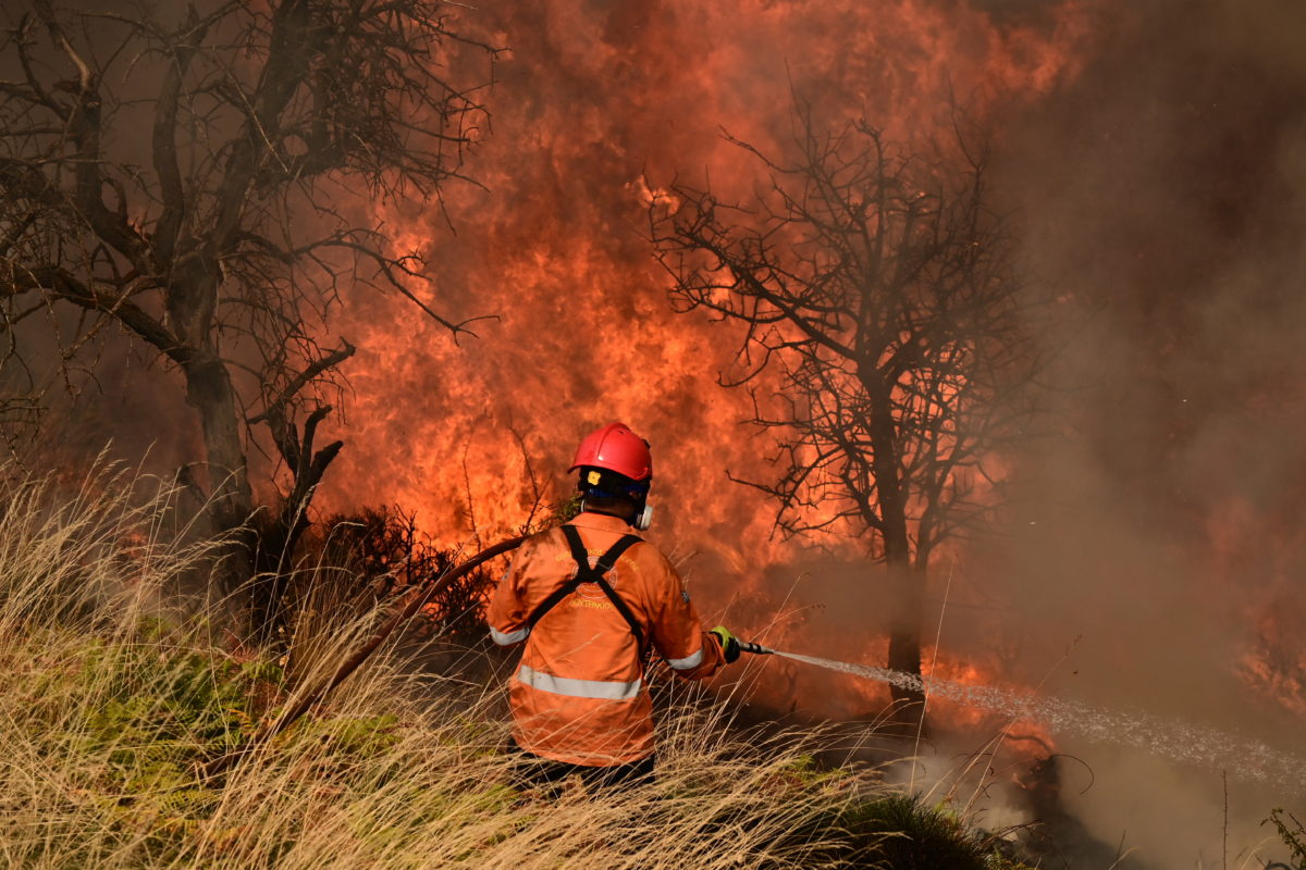 Parliament: SYRIZA submitted a request for a daily order regarding the fires
 – 2024-10-07 21:51:40