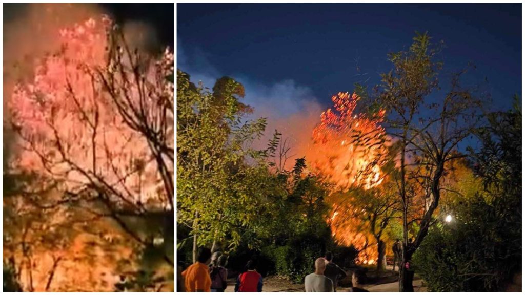 Φωτιά τώρα μέσα στο πάρκο στο Πεδίον του Άρεως (Photo – Video)