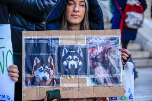 Κακοποίηση ζώων: Από αντικοινωνική διαταραχή προσωπικότητας πάσχουν οι δράστες